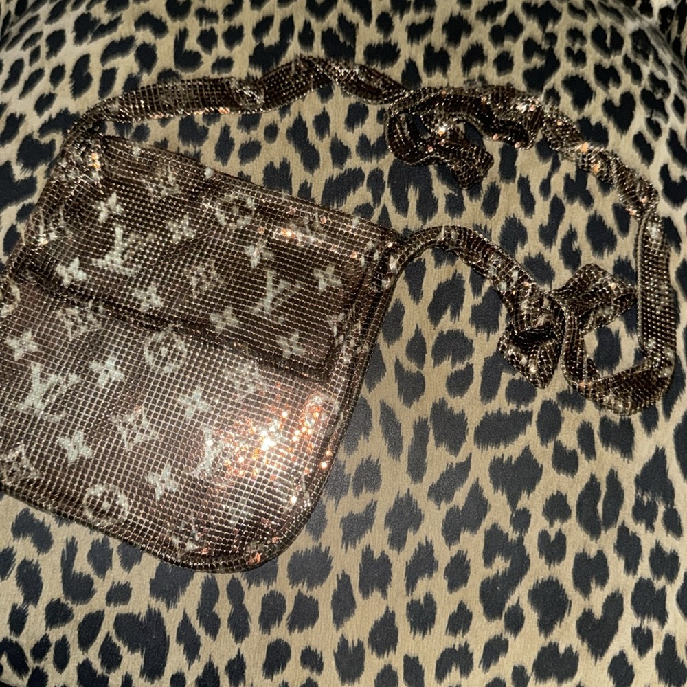 Limited Edition Louis Vuitton Crossbody Bag - Picture 4 of 5